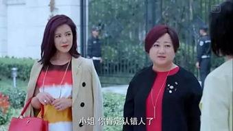 娱乐圈吃瓜小花小说,揭秘明星背后的秘密，吃瓜小花带你探秘花边新闻