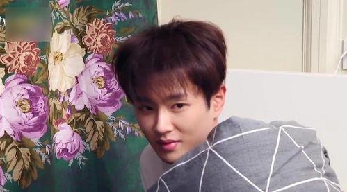 范丞丞娱乐吃瓜视频大全,揭秘明星幕后趣事