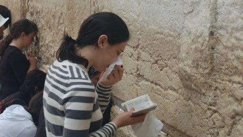 娱乐吃瓜君866,揭秘娱乐圈最新热点事件