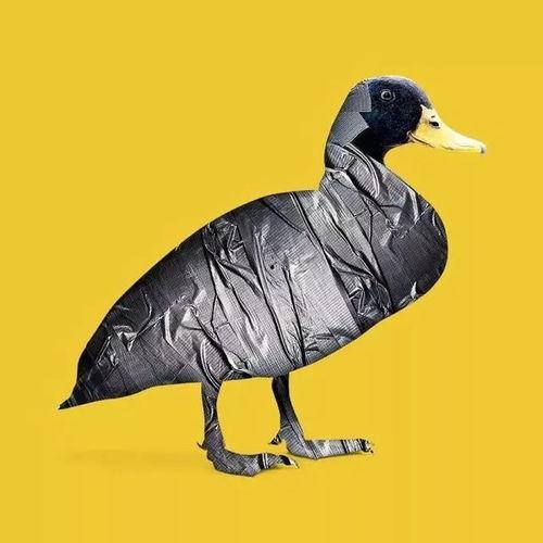 娱乐吃瓜遛鸟大师