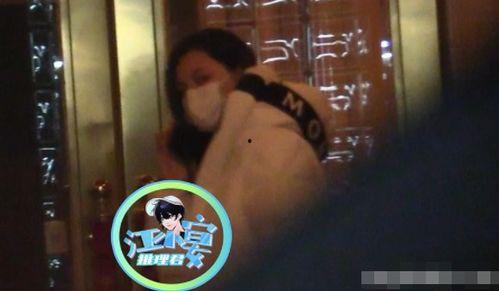 娱乐圈吃瓜汪小菲是谁呀,从豪门公子到话题焦点