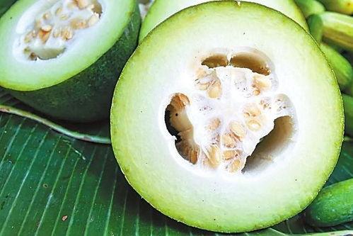 m718娱乐吃瓜,一场吃瓜盛宴背后的娱乐风云