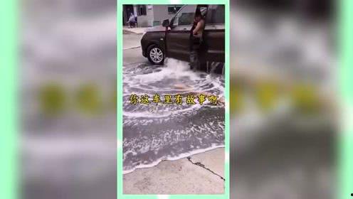 娱乐吃瓜鱼塘,吃瓜鱼塘里的那些事儿