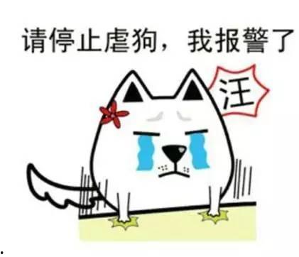 娱乐吃瓜酱隐形式单身,隐形式单身背后的故事