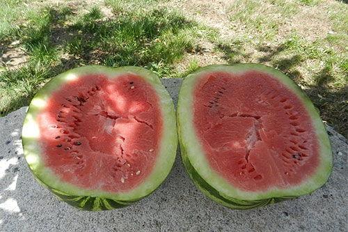 娱乐圈吃瓜买西瓜